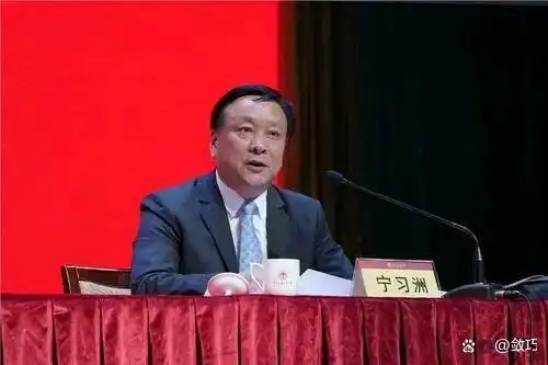 南方医科大学原党委常委、副校长宁习洲在退休365天后，主动投案